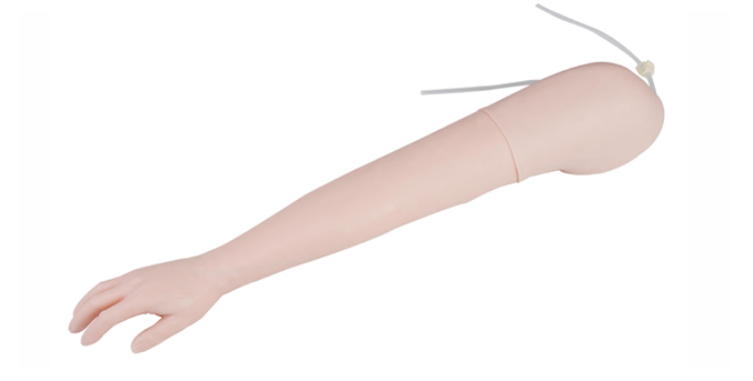 Model de braç d'injecció intravenosa avançat (dreta esquerra)