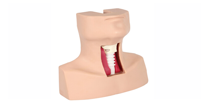 Advanced Tracheotomy thiab Endotracheal Intubation Simulator