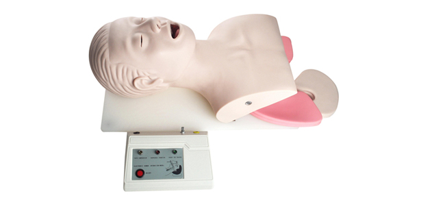 Model electrònic d'intubació endotraqueal