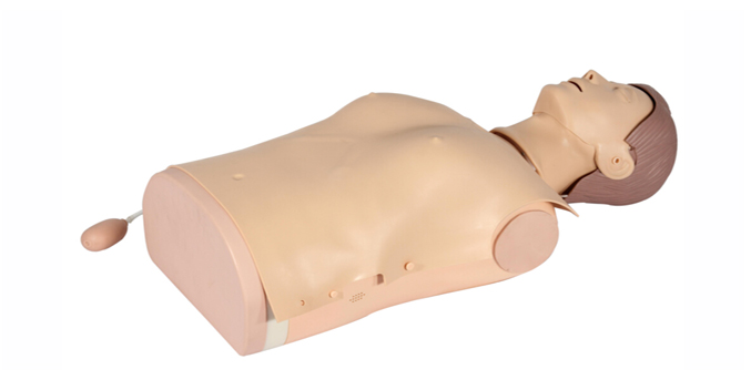 Trèanadh leth-chorp CPR Manikin