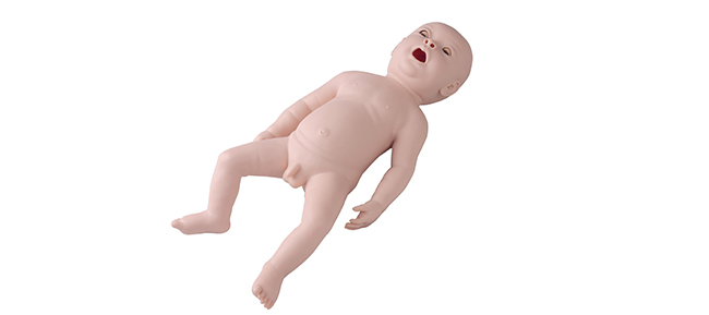 Model d'inbutació endotraqueal neonatal