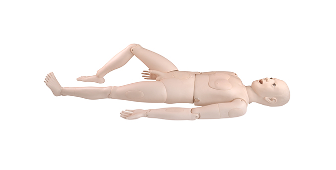 Triple-Rongga-Double-Cystis Mencét Latihan Manikin