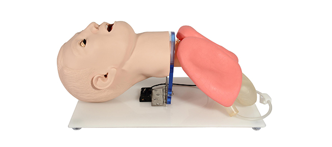 Intubació endotraqueal mèdica avançada model KM-TM109