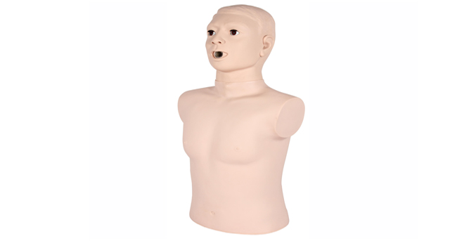 Advanced Adult Obstruction and CPR Model